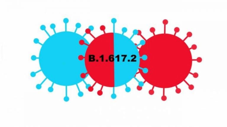 डेल्टा प्लस वेरिएंट