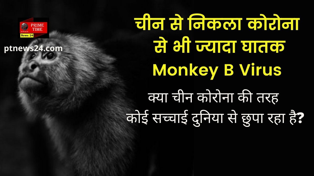 Monkey B Virus (BV)
