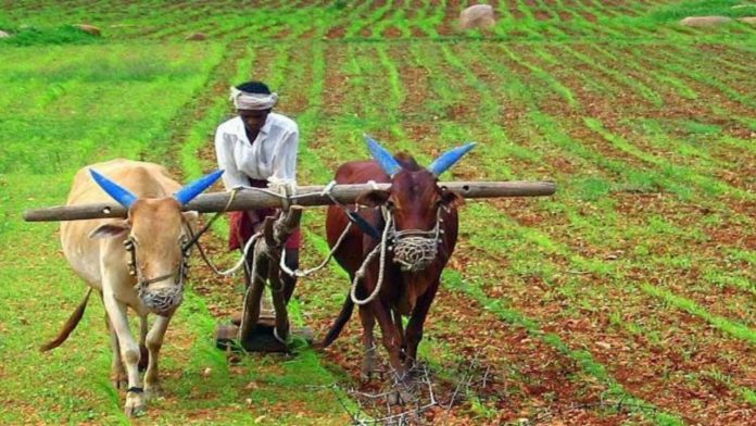 Farmers Income Double